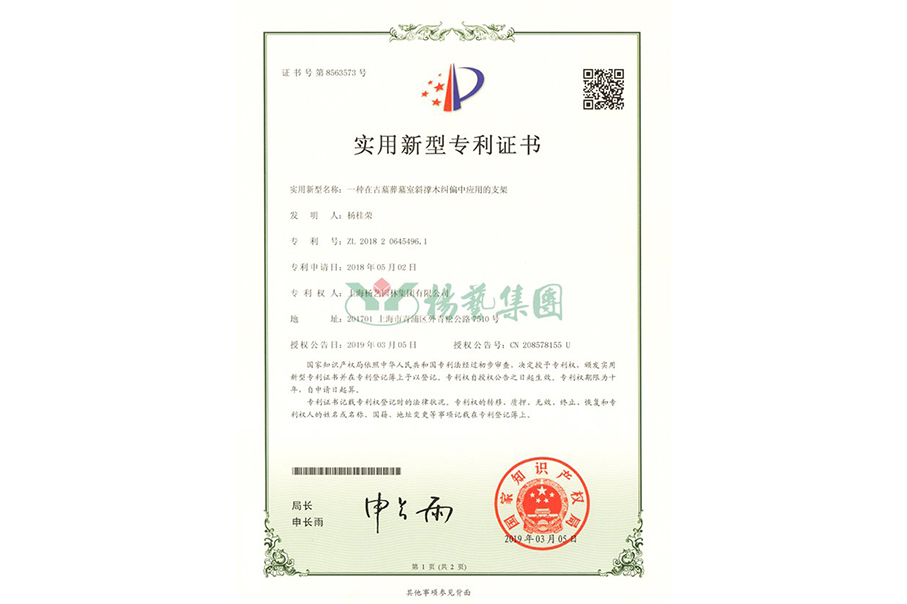 实用新型专利：一种在古墓葬墓室斜撑木纠偏中