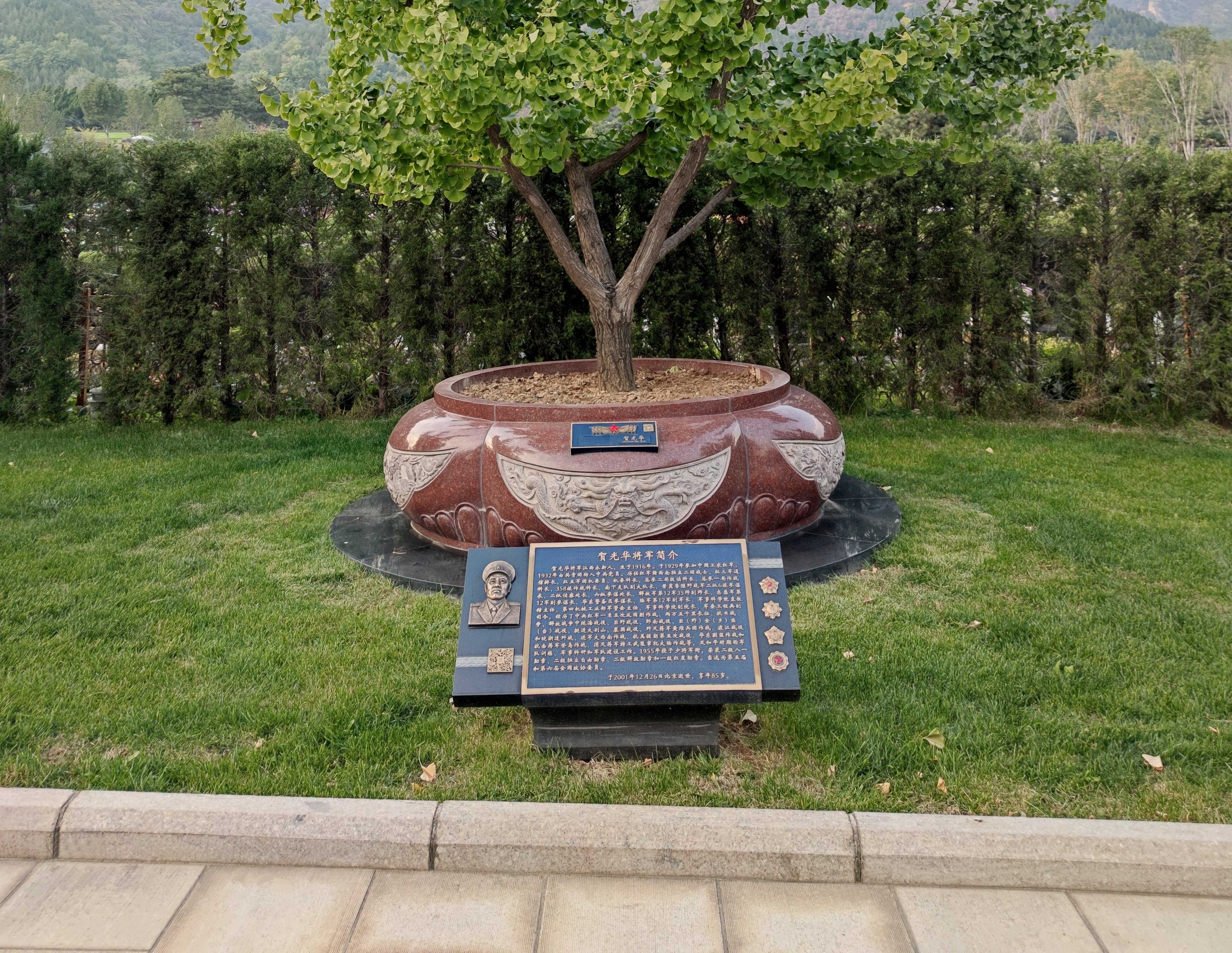 贺光华将军安息之地：九龙坛树葬