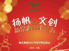 年终会：记2015年终总结大会暨2016年计划会议