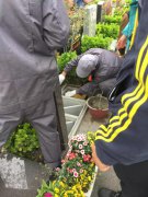 【欧宝人别样清明】2018年清明落葬工作圆满完成