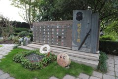 致敬“平安卫士”，铭记“刑警之魂”