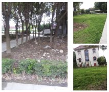 老墓园改造：城市中的绿色记忆与文化传承