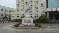 石雕匠心，镌刻医者风华