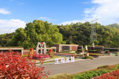 城市角落的星河：当墓园成为生命的另一种花园