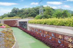 告别千篇一律：多元葬式安放生命的最后尊严